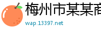 梅州市某某商业展览有限公司